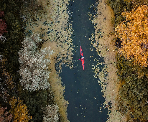 Природа у реки